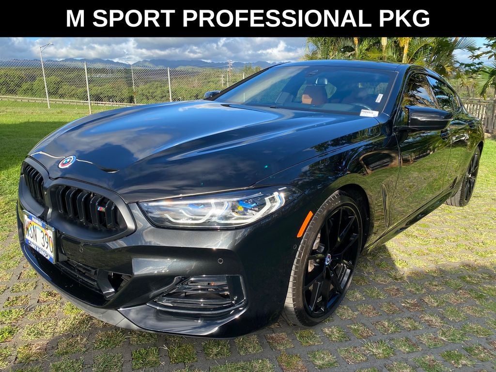 2023 BMW 8 Series — interior view